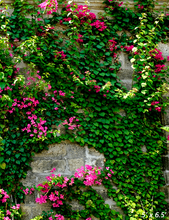 Stone House With Green Leaves Spring Photography Backdrop SBH0357