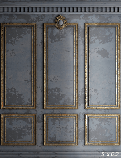 Grey Classic Interior Wall Backdrop for Photography SBH0384