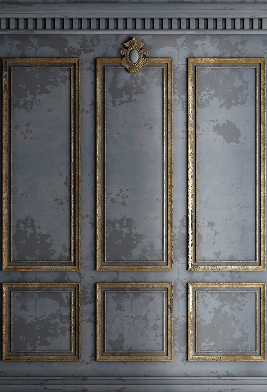 Grey Classic Interior Wall Backdrop for Photography SBH0384