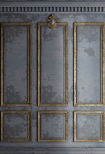 Grey Classic Interior Wall Backdrop for Photography SBH0384