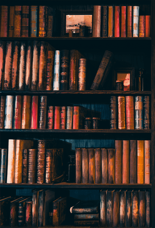 Blurred Wooden Bookshelf Photography Backdrop SBH0390