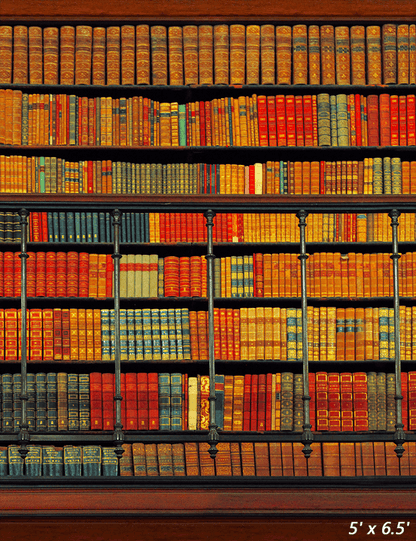 Wooden Vintage Bookshelf Backdrop for Photography SBH0404