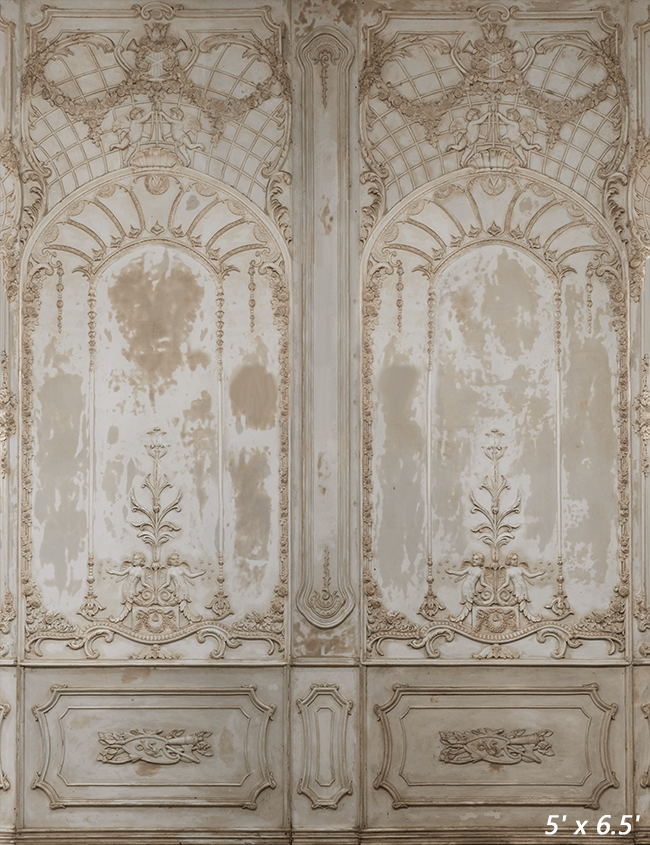 Ornate Plaster Relief Background for Photography SBH0410