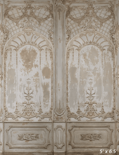 Ornate Plaster Relief Background for Photography SBH0410