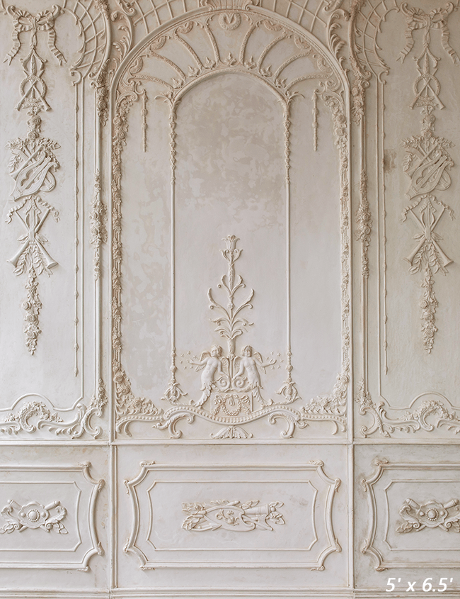 Beige Ornate Plaster Wall Backdrop for Photography SBH0411