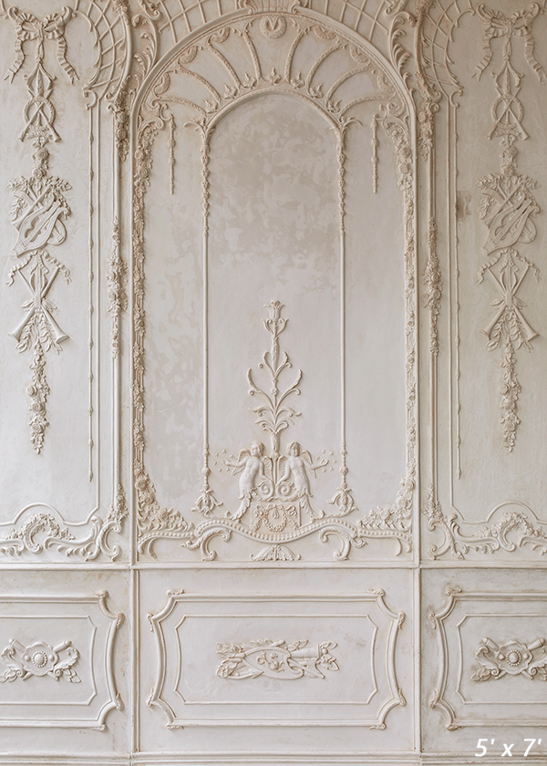 Beige Ornate Plaster Wall Backdrop for Photography SBH0411