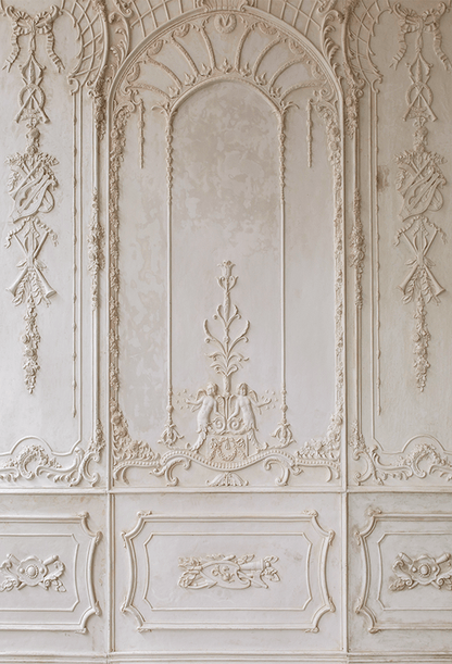 Beige Ornate Plaster Wall Backdrop for Photography SBH0411