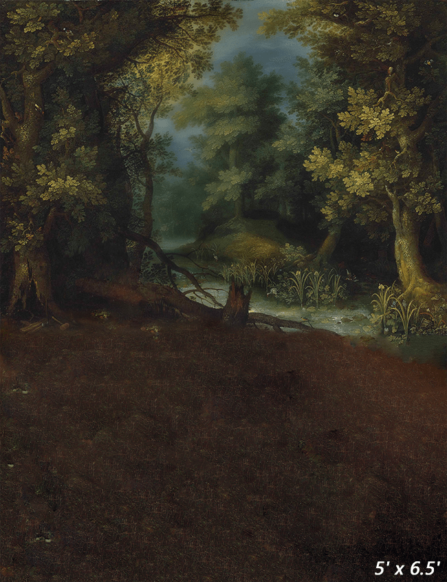 Classic Landscape Oil Painting Backdrop for Photography SBH0413