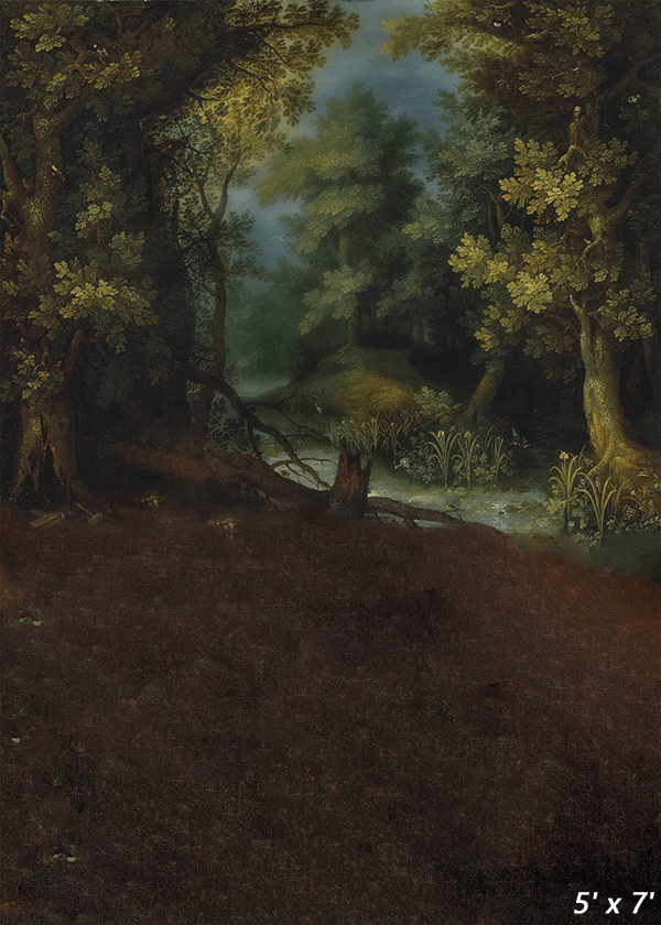 Classic Landscape Oil Painting Backdrop for Photography SBH0413