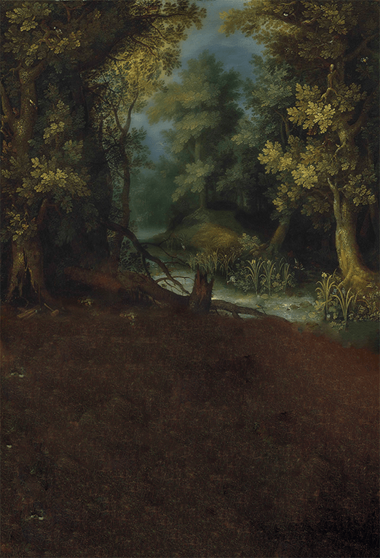 Classic Landscape Oil Painting Backdrop for Photography SBH0413