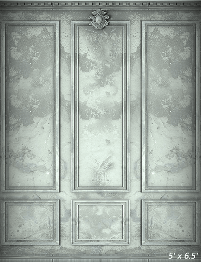 Classic Interior Wall Backdrop for Photography SBH0418