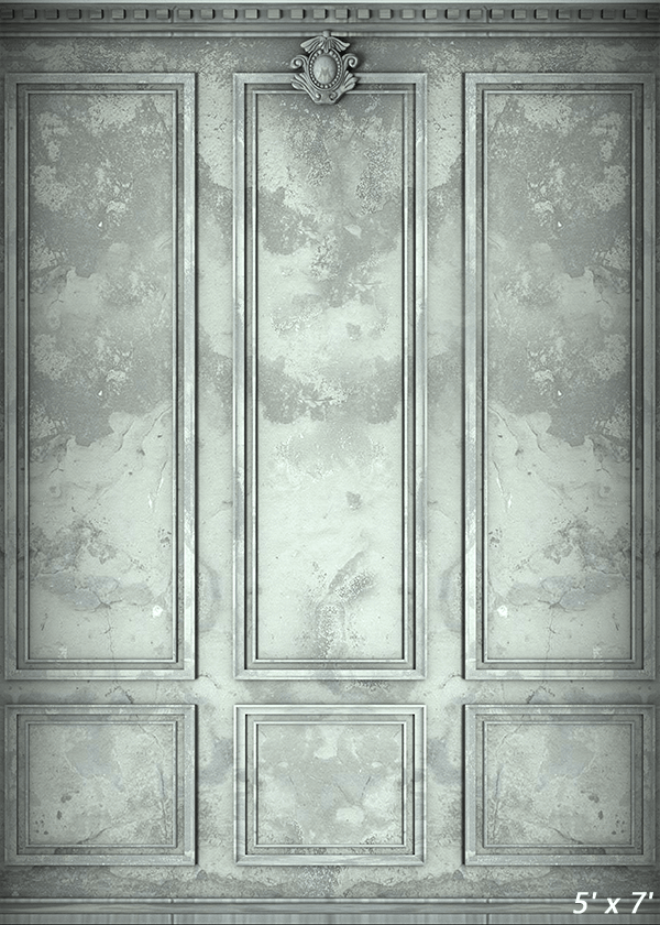 Classic Interior Wall Backdrop for Photography SBH0418