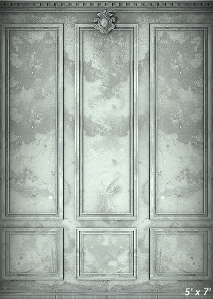 Classic Interior Wall Backdrop for Photography SBH0418