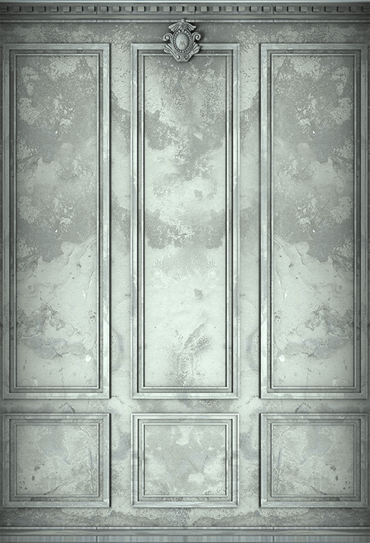 Classic Interior Wall Backdrop for Photography SBH0418