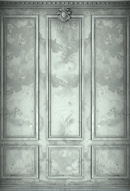 Classic Interior Wall Backdrop for Photography SBH0418