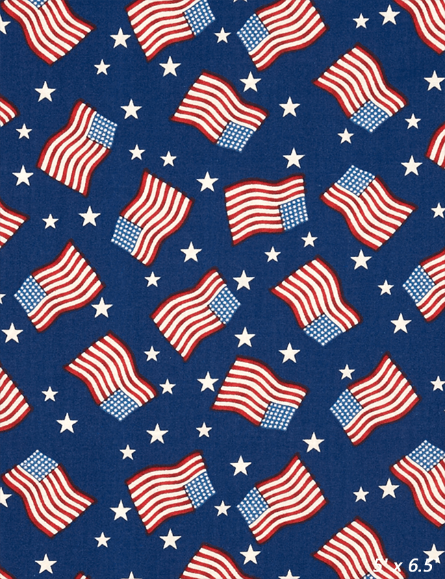 America Flags Patriotic Backdrop For Photo SBH0472