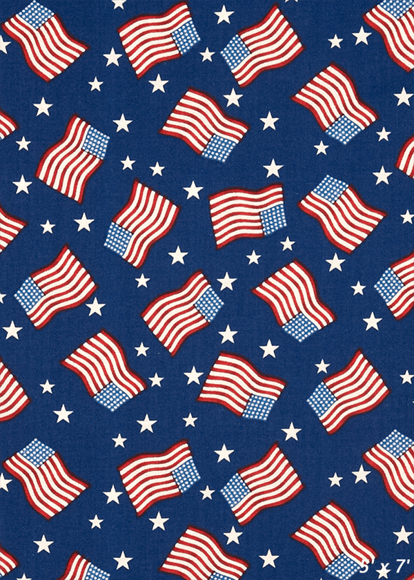 America Flags Patriotic Backdrop For Photo SBH0472