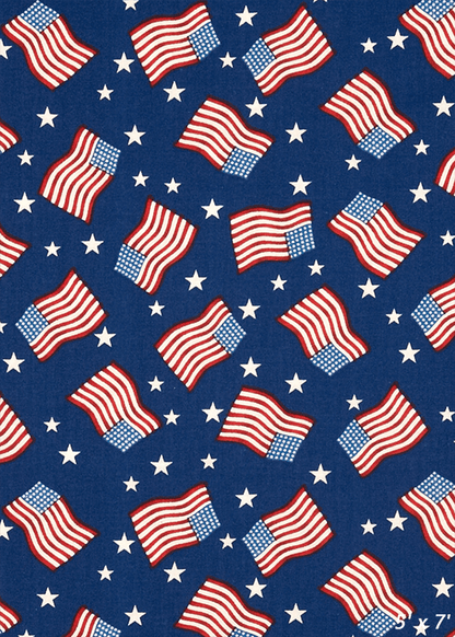 America Flags Patriotic Backdrop For Photo SBH0472