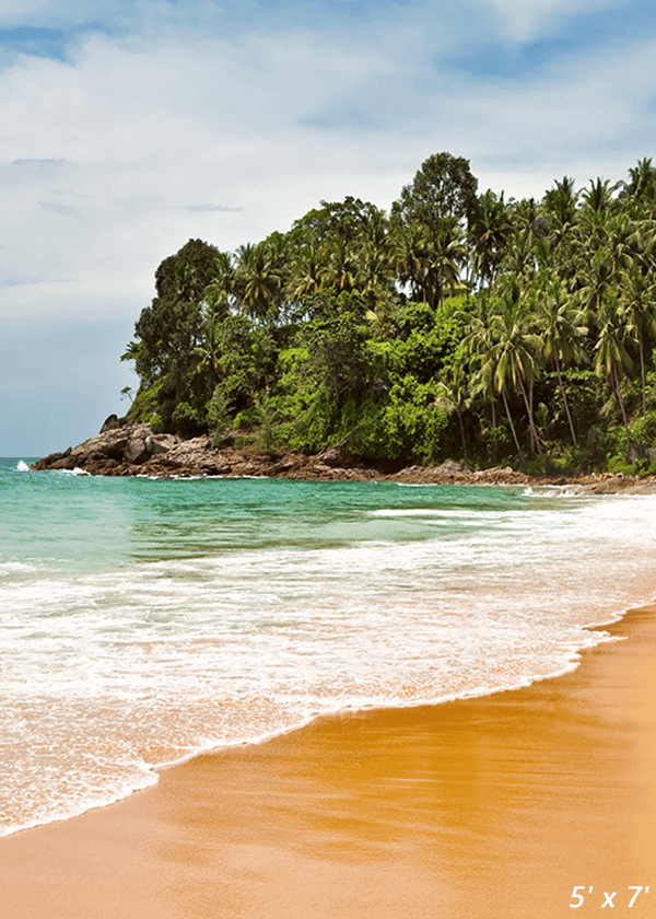 Beautiful Tropical Beach Summer Photo Background SBH0484