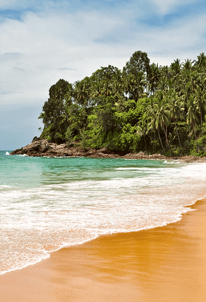 Beautiful Tropical Beach Summer Photo Background SBH0484