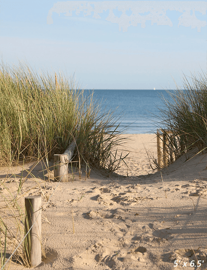 Beach Sand Dunes Access Path Photo Background SBH0485