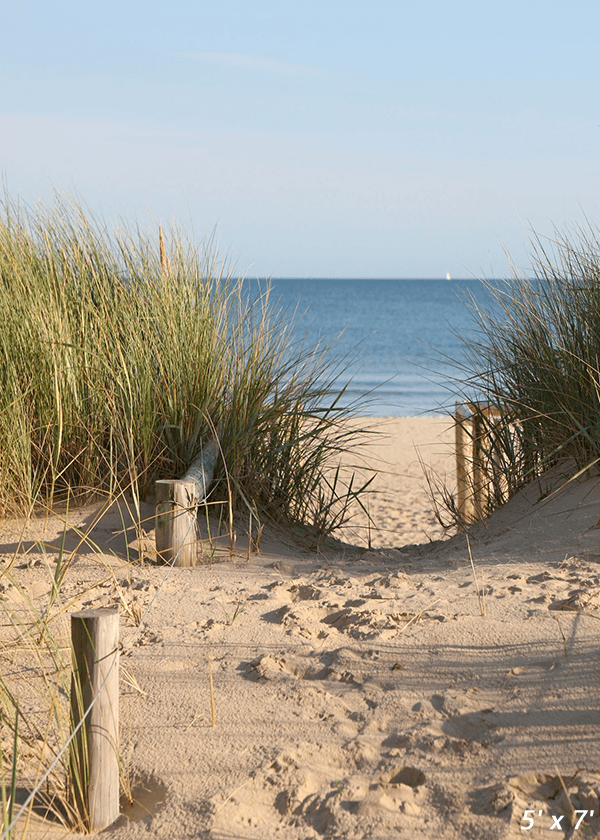 Beach Sand Dunes Access Path Photo Background SBH0485