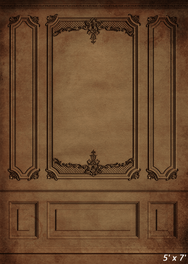 Vintage Brown Interior Wall  Backdrop for Photo SBH0492