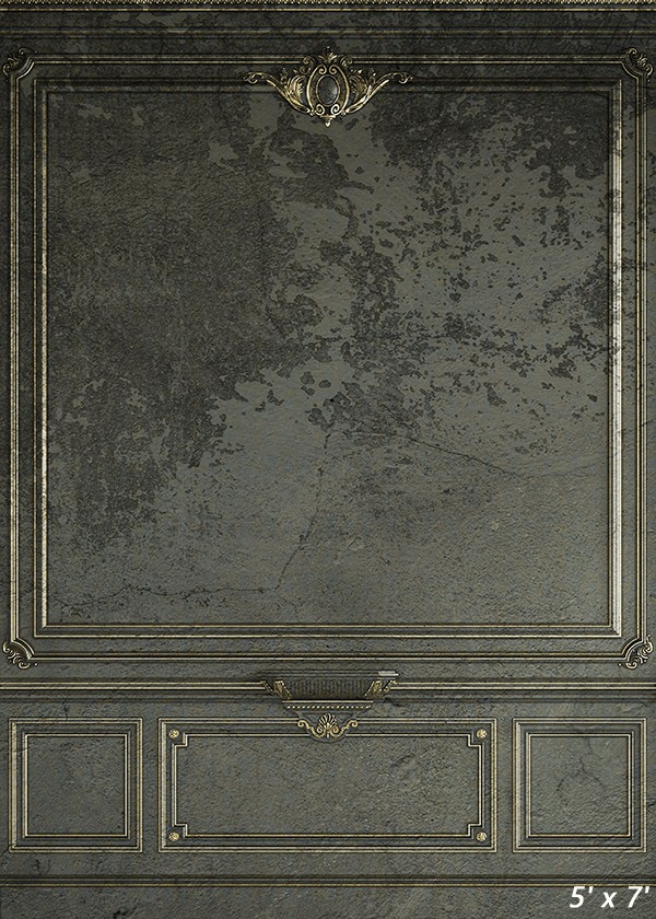 Vintage Classic Interior Wall Seamless Backdrop SBH0495