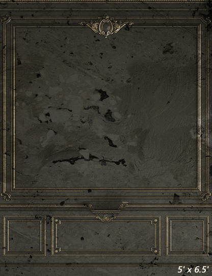 Vintage Classic Indoor Fabric Backdrop for Photo SBH0496