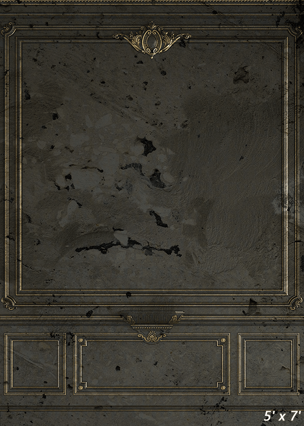 Vintage Classic Indoor Fabric Backdrop for Photo SBH0496