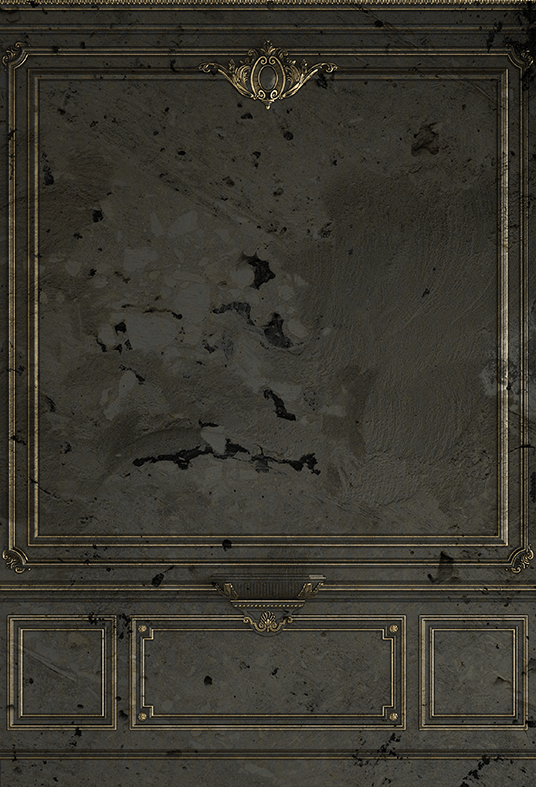 Vintage Classic Indoor Fabric Backdrop for Photo SBH0496