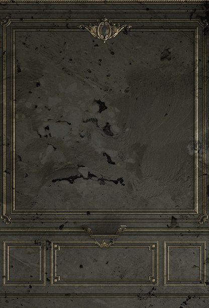 Vintage Classic Indoor Fabric Backdrop for Photo SBH0496