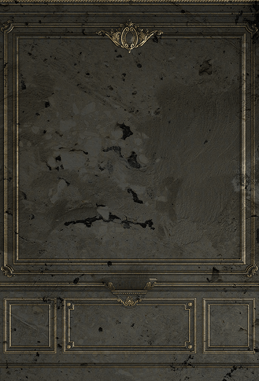 Vintage Classic Indoor Fabric Backdrop for Photo SBH0496