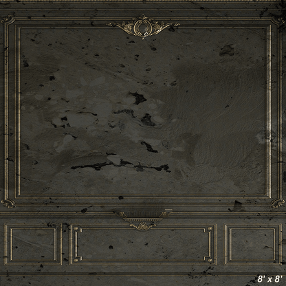 Vintage Classic Indoor Fabric Backdrop for Photo SBH0496