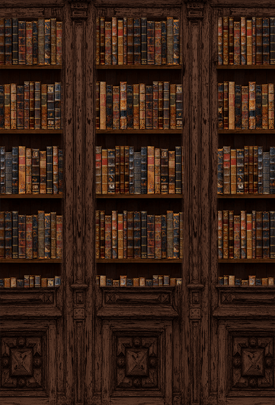 Vintage Book Storage Wall Backdrop Photo Studio SBH0519