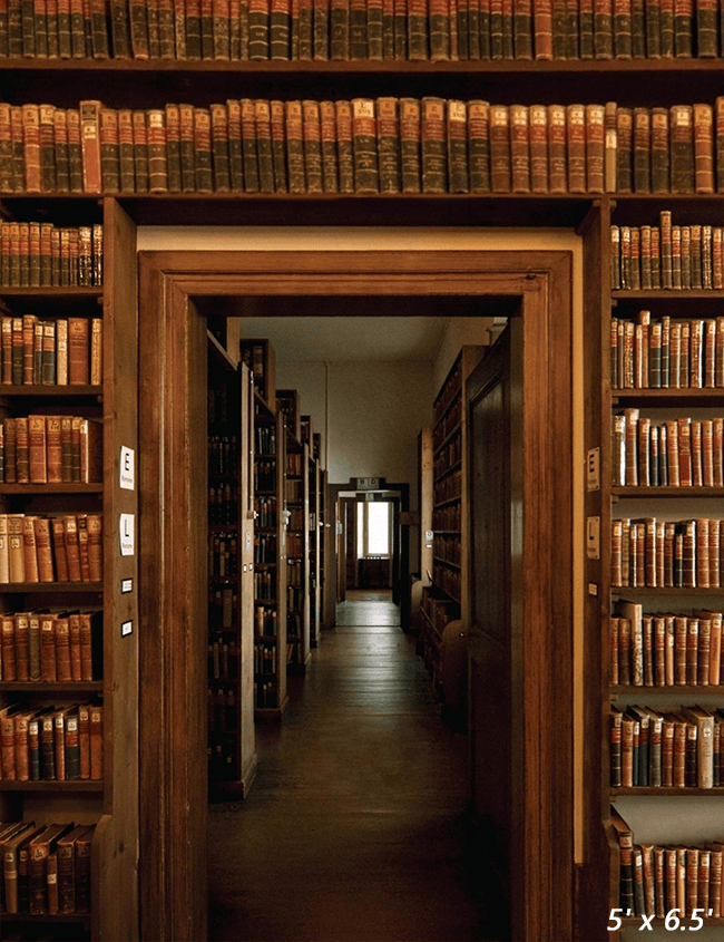 Library Reading Room Shelves Backdrop Background SBH0521