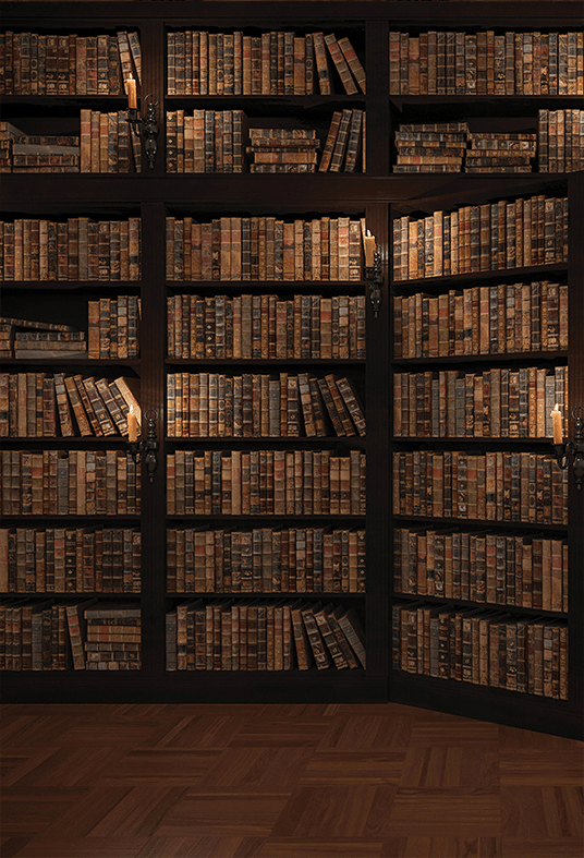 Vintage Library Bookshelf Backdrop for Photo Studio SBH0523