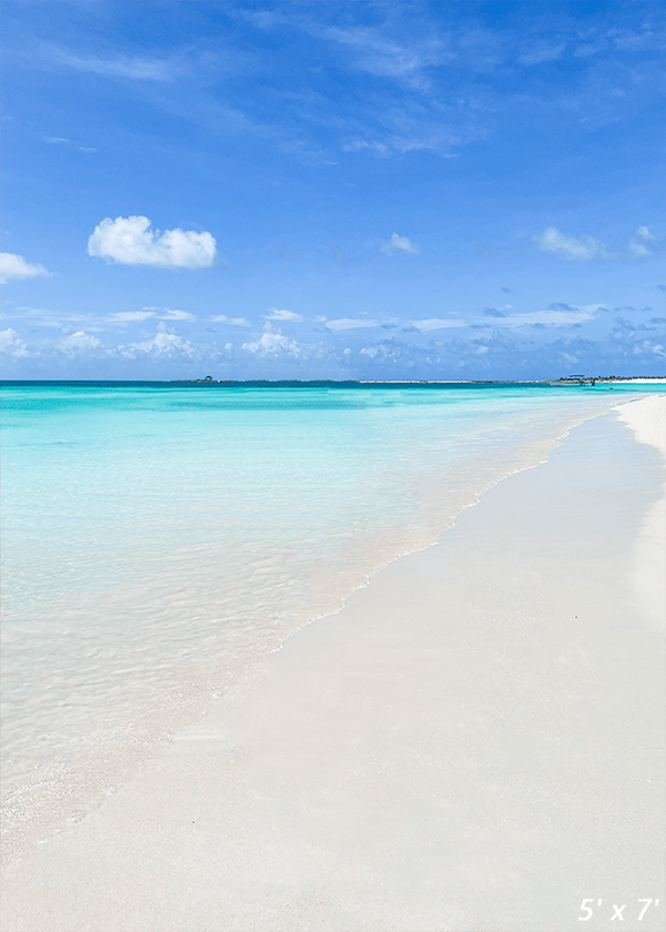 Perfect Beach Scene Backdrop for Photography SBH0535