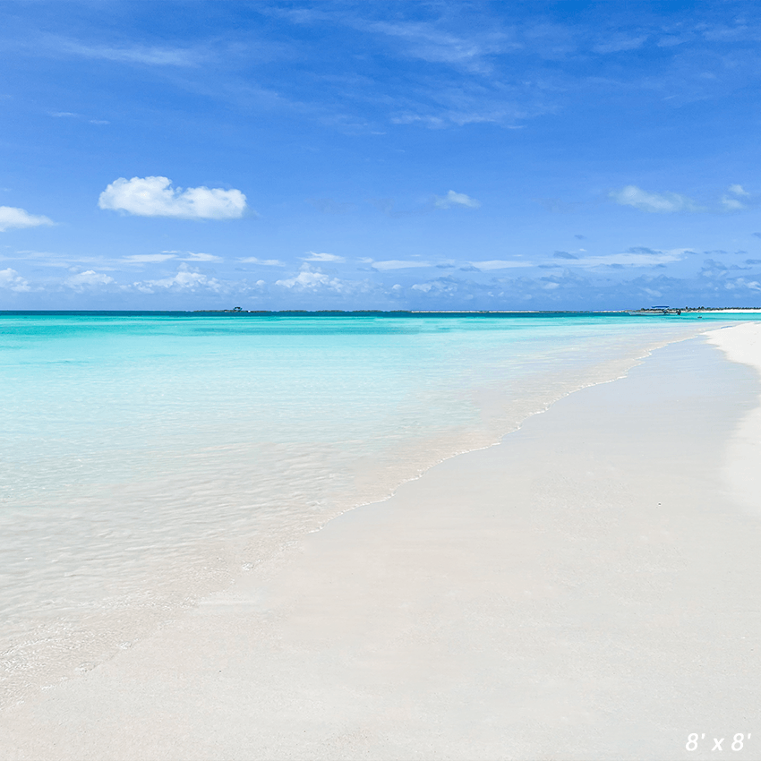 Perfect Beach Scene Backdrop for Photography SBH0535