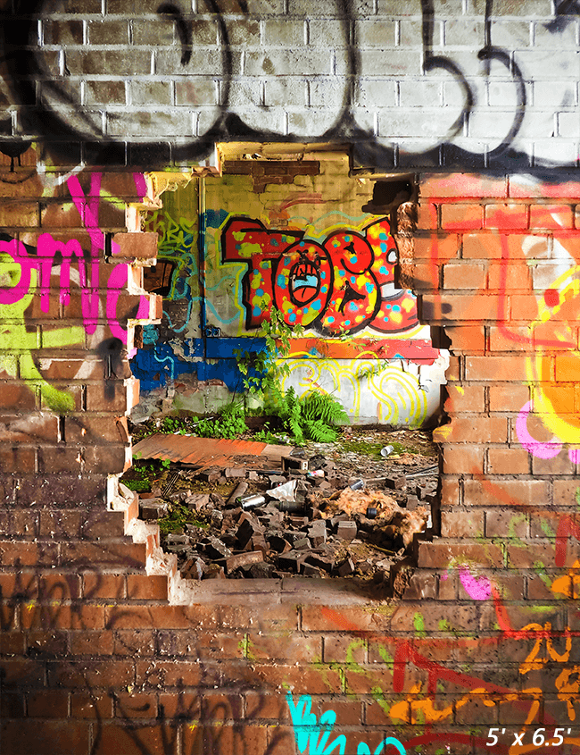 Multicolored Graffiti Brick Wall Photography Backdrop SBH0567