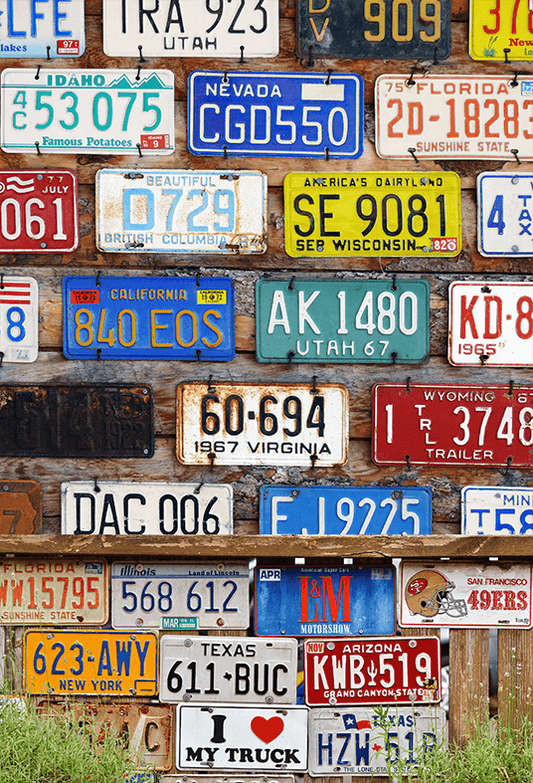 American Historical License Plate Background Backdrop SBH0569