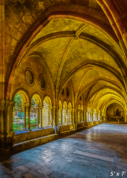 Cathedral and Diocesan Museum Church Backdrop SBH0591