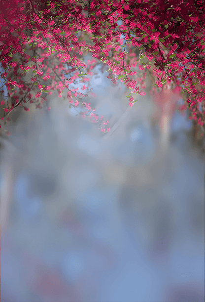 Exotic Blur Garden Floral Background Backdrop SBH0599