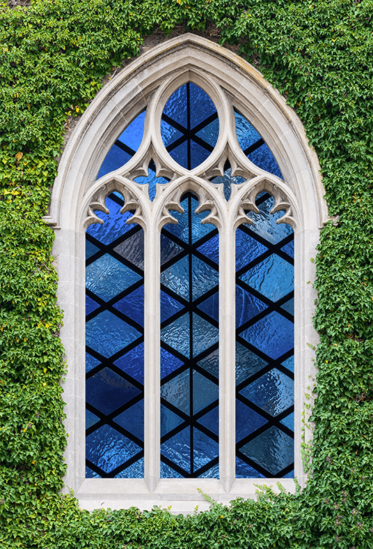 Stained Glass Windows Ivy Wall Church Backdrop SBH0609