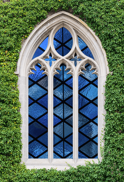 Stained Glass Windows Ivy Wall Church Backdrop SBH0609