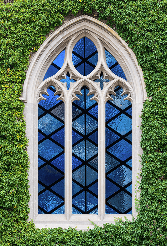 Stained Glass Windows Ivy Wall Church Backdrop SBH0609