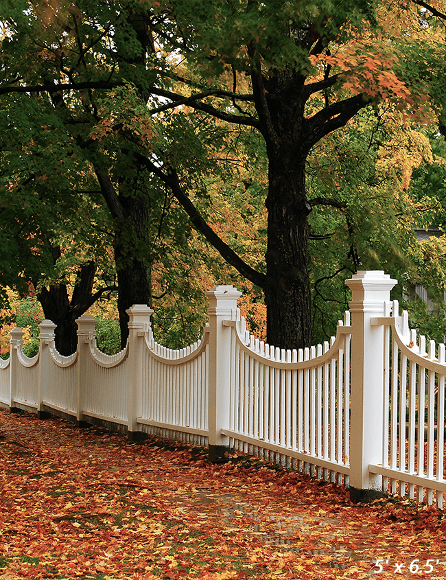England Autumn Foliage Surrounds Backdrop For Photo SBH0613