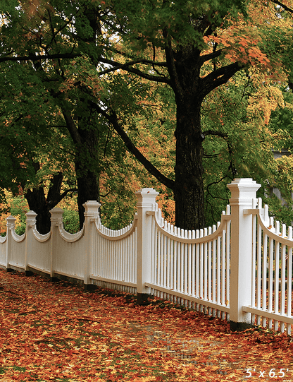 England Autumn Foliage Surrounds Backdrop For Photo SBH0613