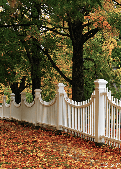 England Autumn Foliage Surrounds Backdrop For Photo SBH0613