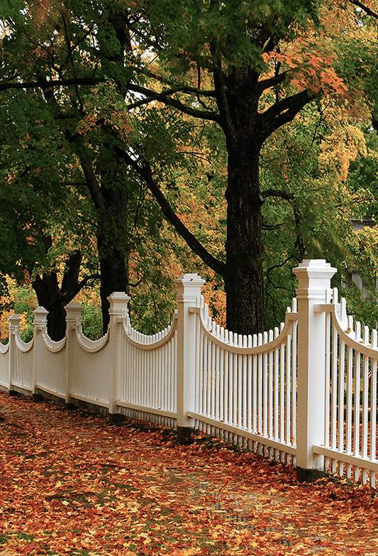England Autumn Foliage Surrounds Backdrop For Photo SBH0613